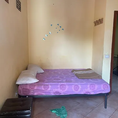 Teds Palermo